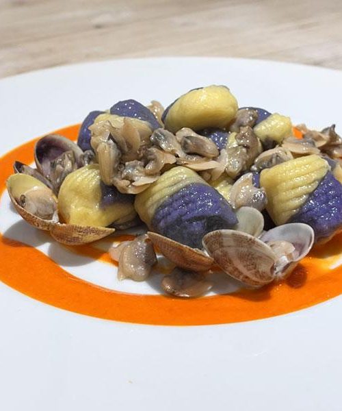 Gnocchi bicolor